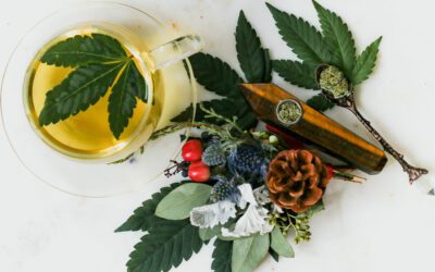 How To Brew Cannabis Tea | 2 Easy Weed Tea Recipes