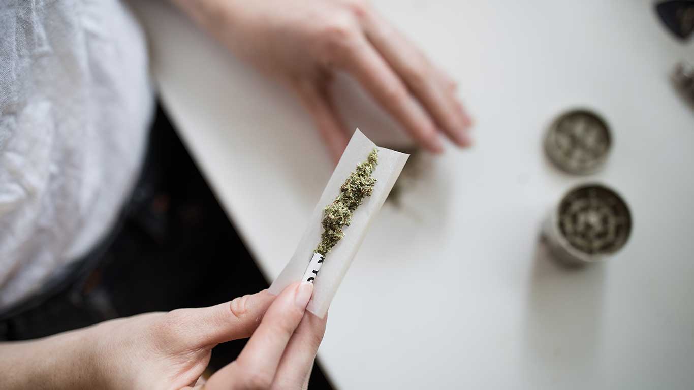 Woman rolling cannabis joint