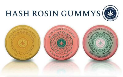 Hash Rosin Gummies | New Product