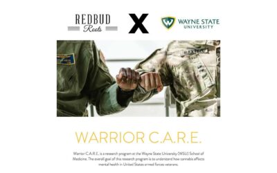 Wayne State Cannabis Study For PTSD in Veteran’s